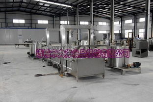 諸城市大洋食品機(jī)械推出全新高效油炸生產(chǎn)線，引領(lǐng)食品加工設(shè)備性能新標(biāo)桿